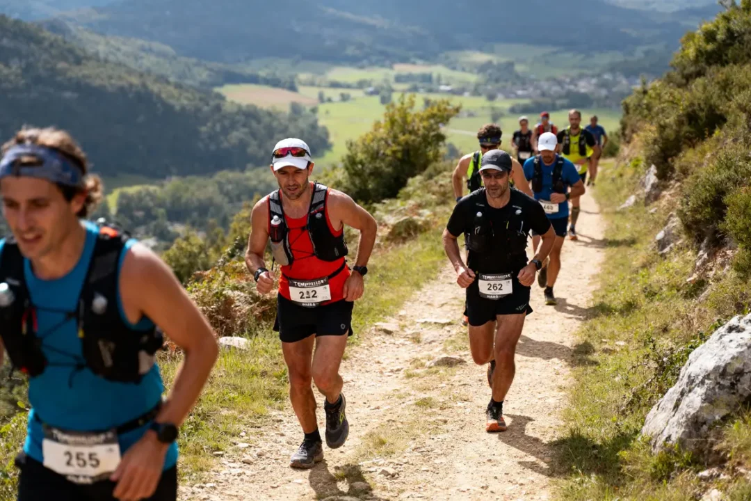 Groupe de coureurs participant à une course en montagne par temps ensoleillé, avec paysage verdoyant à l'arrière-plan.
