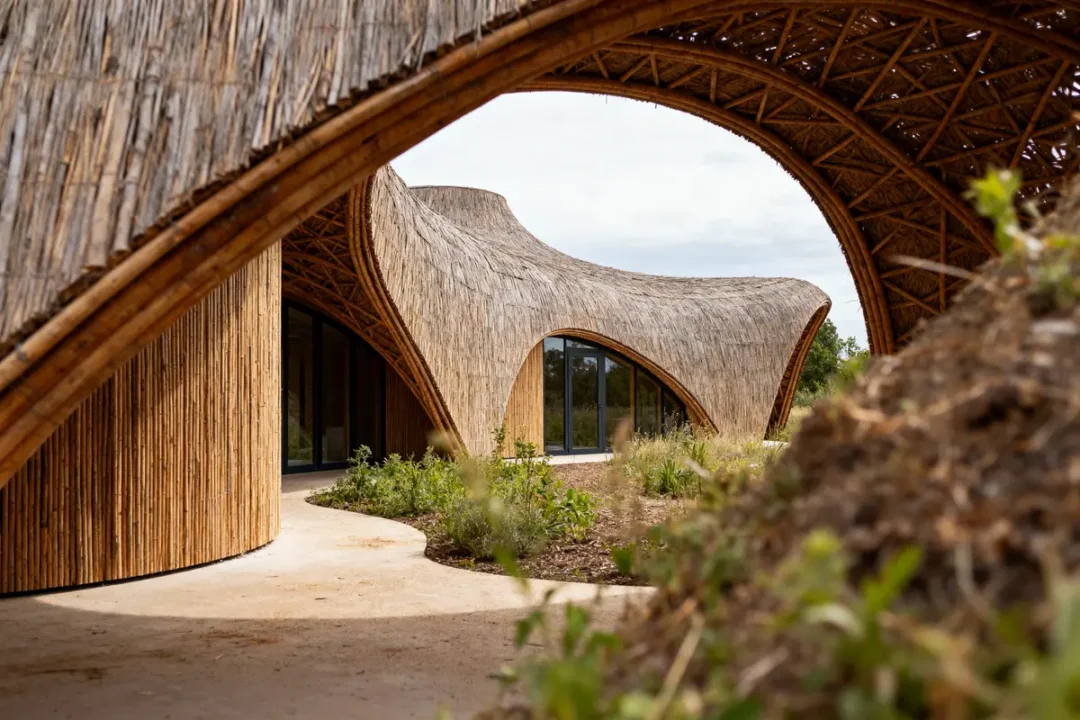 Bâtiment en bambou au toit courbé, entouré de végétation avec grands arcs architecturaux naturels en premier plan.