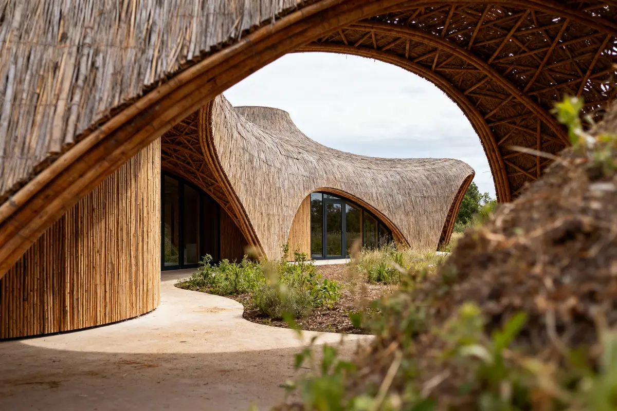 Bâtiment en bambou au toit courbé, entouré de végétation avec grands arcs architecturaux naturels en premier plan.