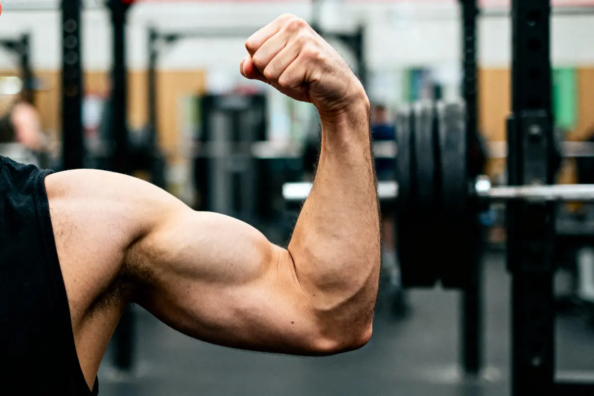 Bras musclé plié en salle de sport, fond avec poids flous.