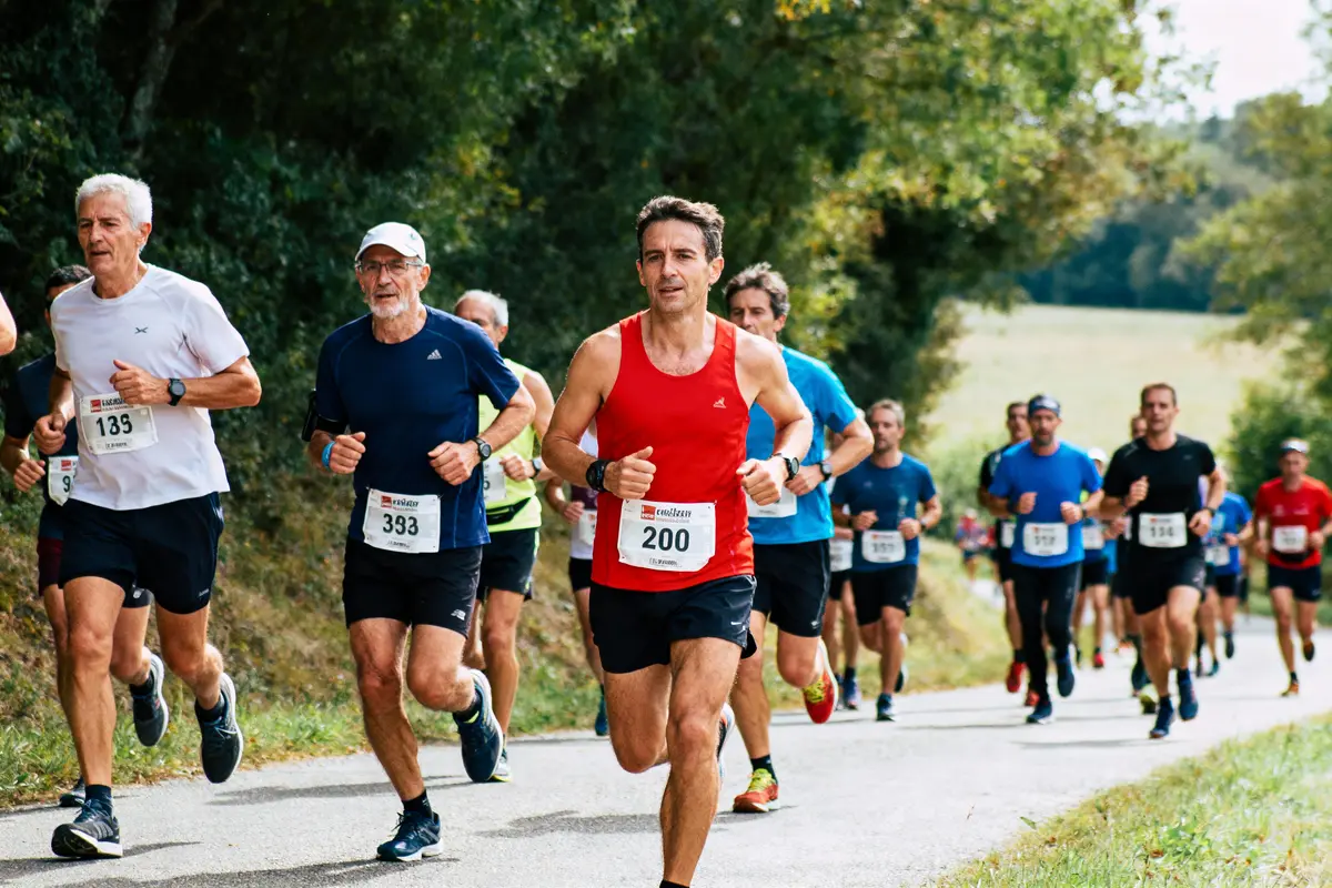 Groupe de coureurs participant à une course sur route, avec arbres en arrière-plan et numéros de dossards visibles.