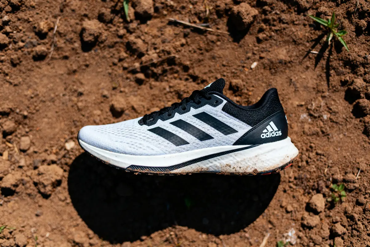 Chaussure de course Adidas blanche et noire posée sur un sol terreux.