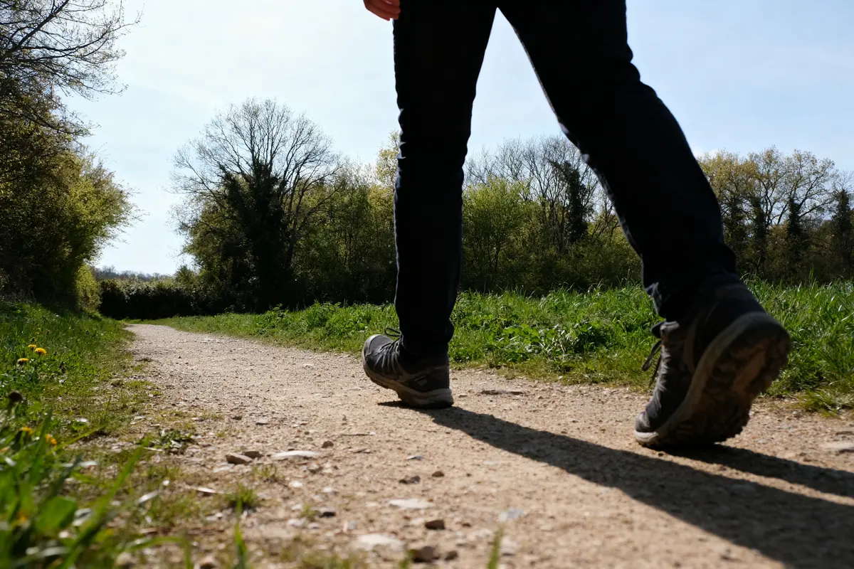 Personne marchant sur un sentier forestier ensoleillé pour atteindre 20000 pas en km