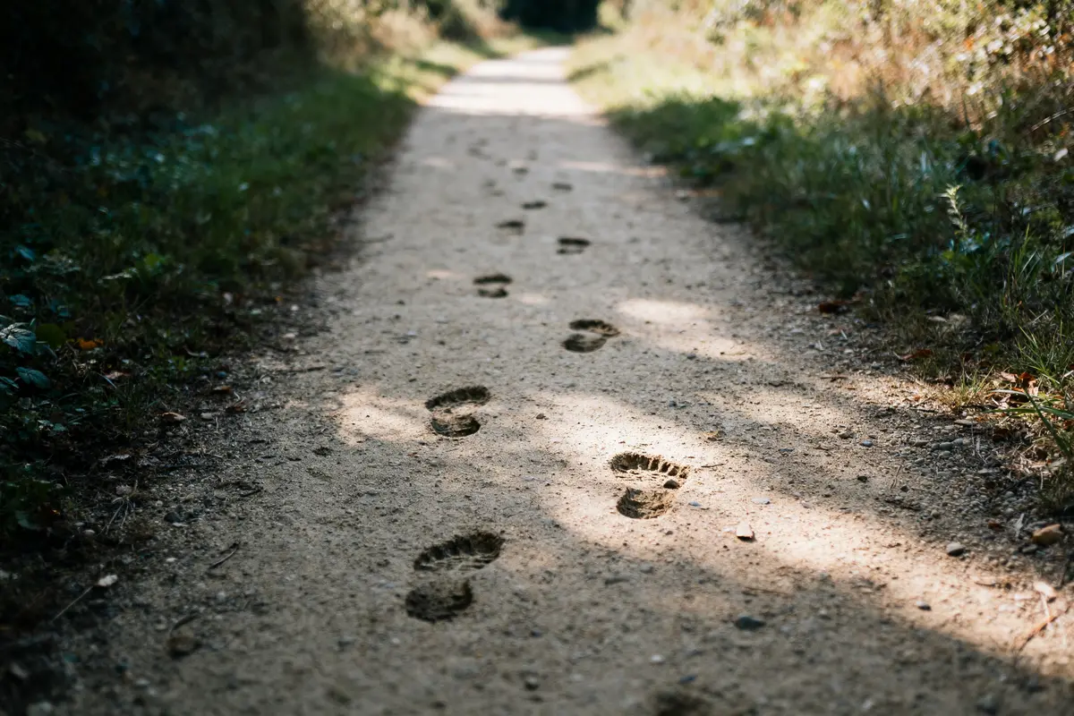 Sentier forestier avec empreintes évoquant 20000 pas en km pour une promenade nature