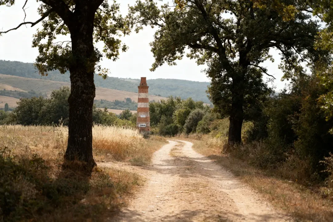 Chemin de campagne bordé d'arbres, pancarte indiquant 20000 pas en km au loin