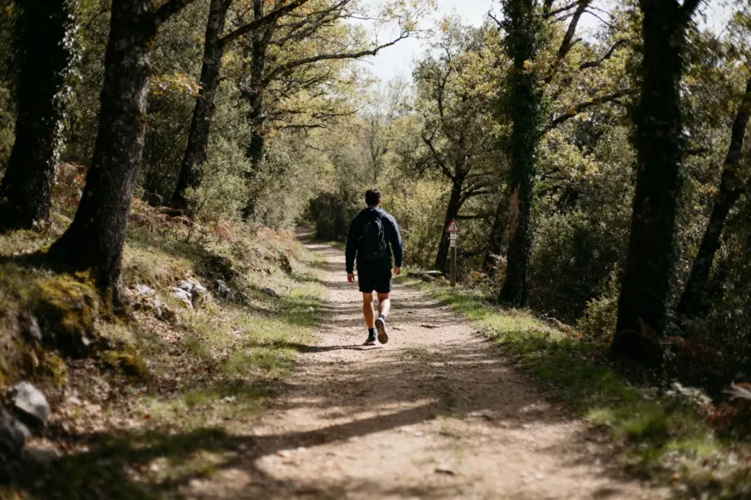 Personne marche en forêt calculant 20000 pas en km sur un chemin boisé ombragé.