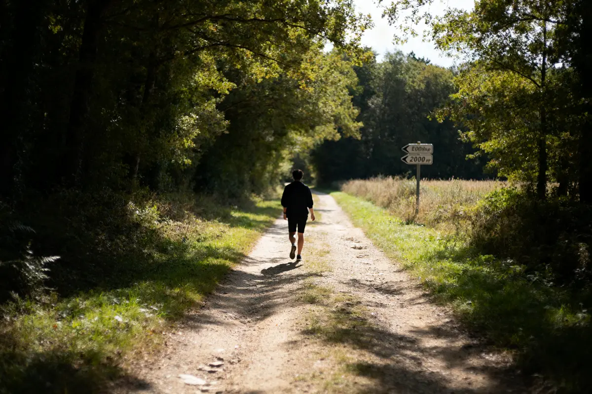 Promeneur sur chemin forestier ensoleillé avec panneau indiquant 20000 pas en km