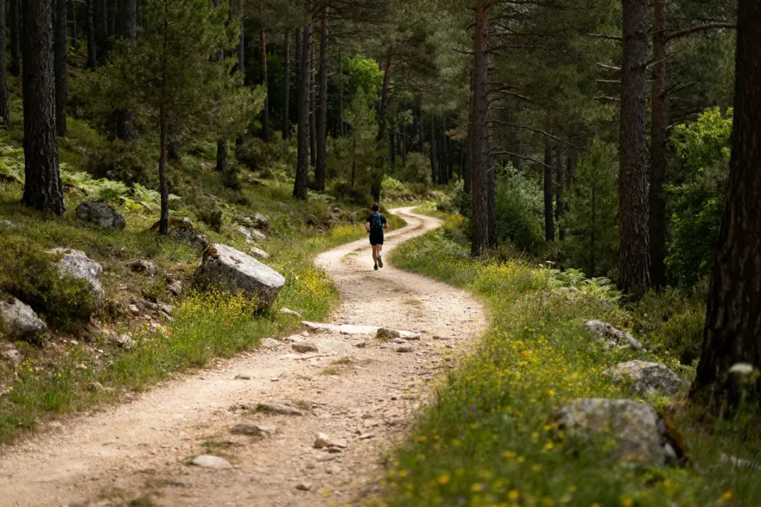 Homme marchant sur un sentier forestier évoquant 20000 pas en km en nature verdoyante