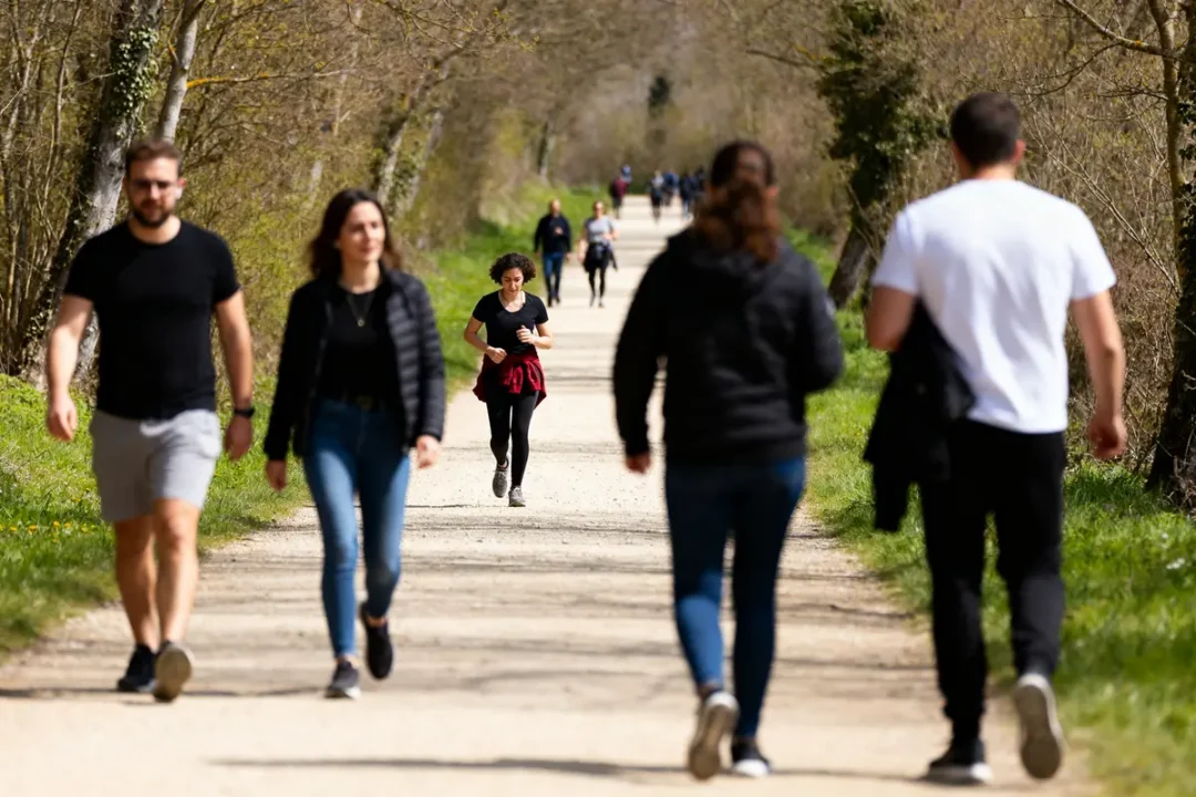 Personnes marchant sur sentier boisé solaire indiquant 20000 pas en km pour une randonnée active