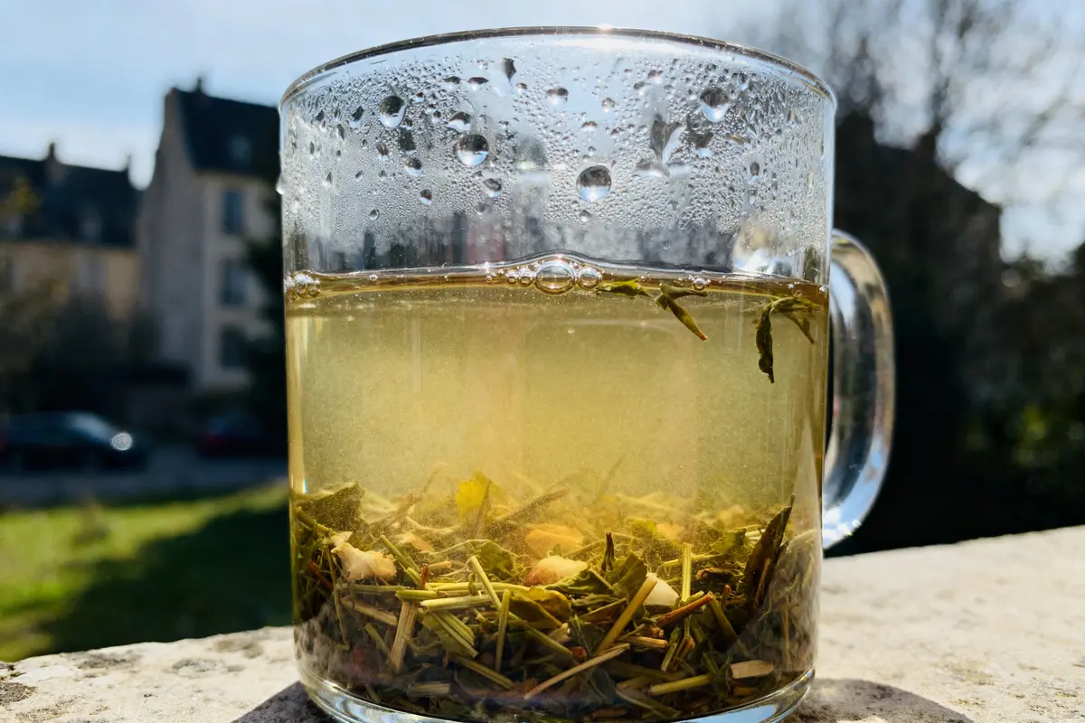 Verre de thé bio en France, idéal pour perte de poids au soleil.