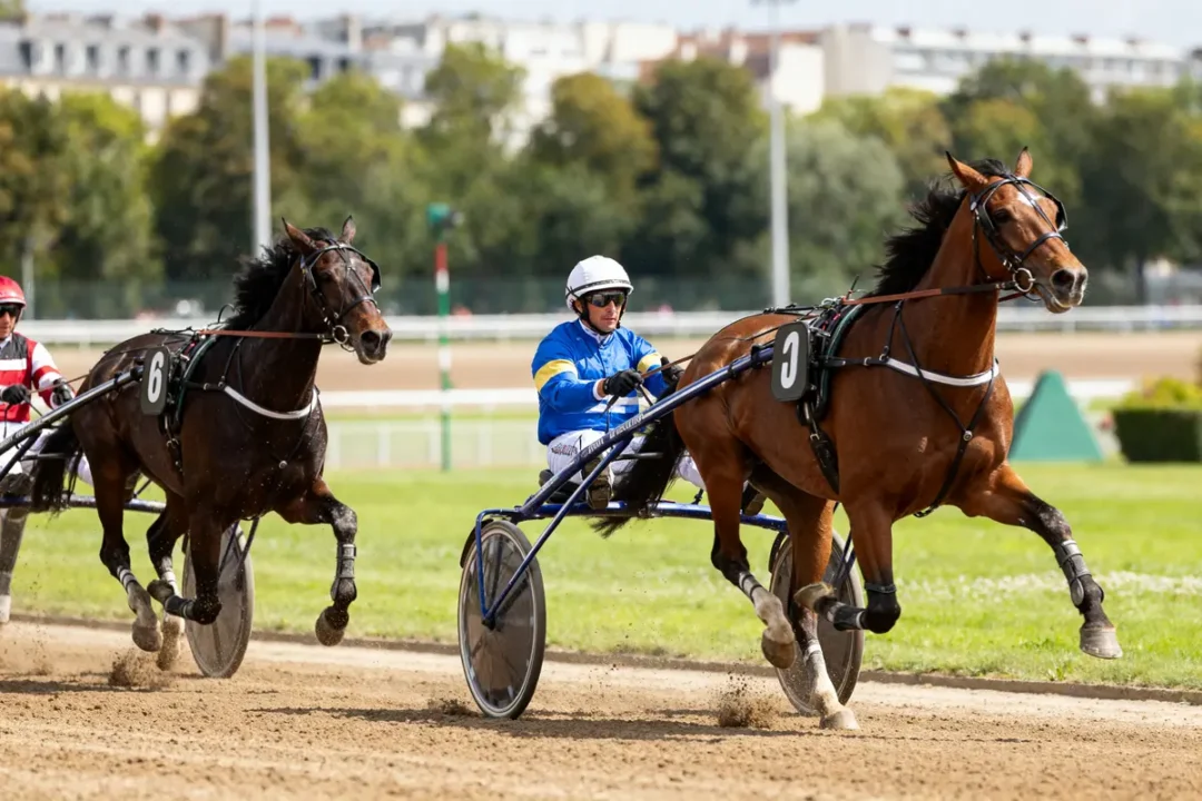Deux chevaux au trot participent à une course sur terre battue avec drivers